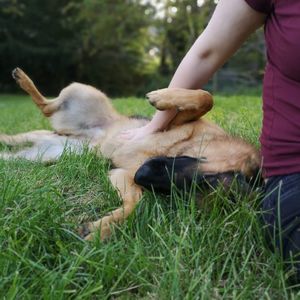 Meet your Posher, Allison